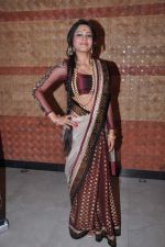 at Neerusha fashion show in Mumbai on 19th Jan 2013 (70).JPG